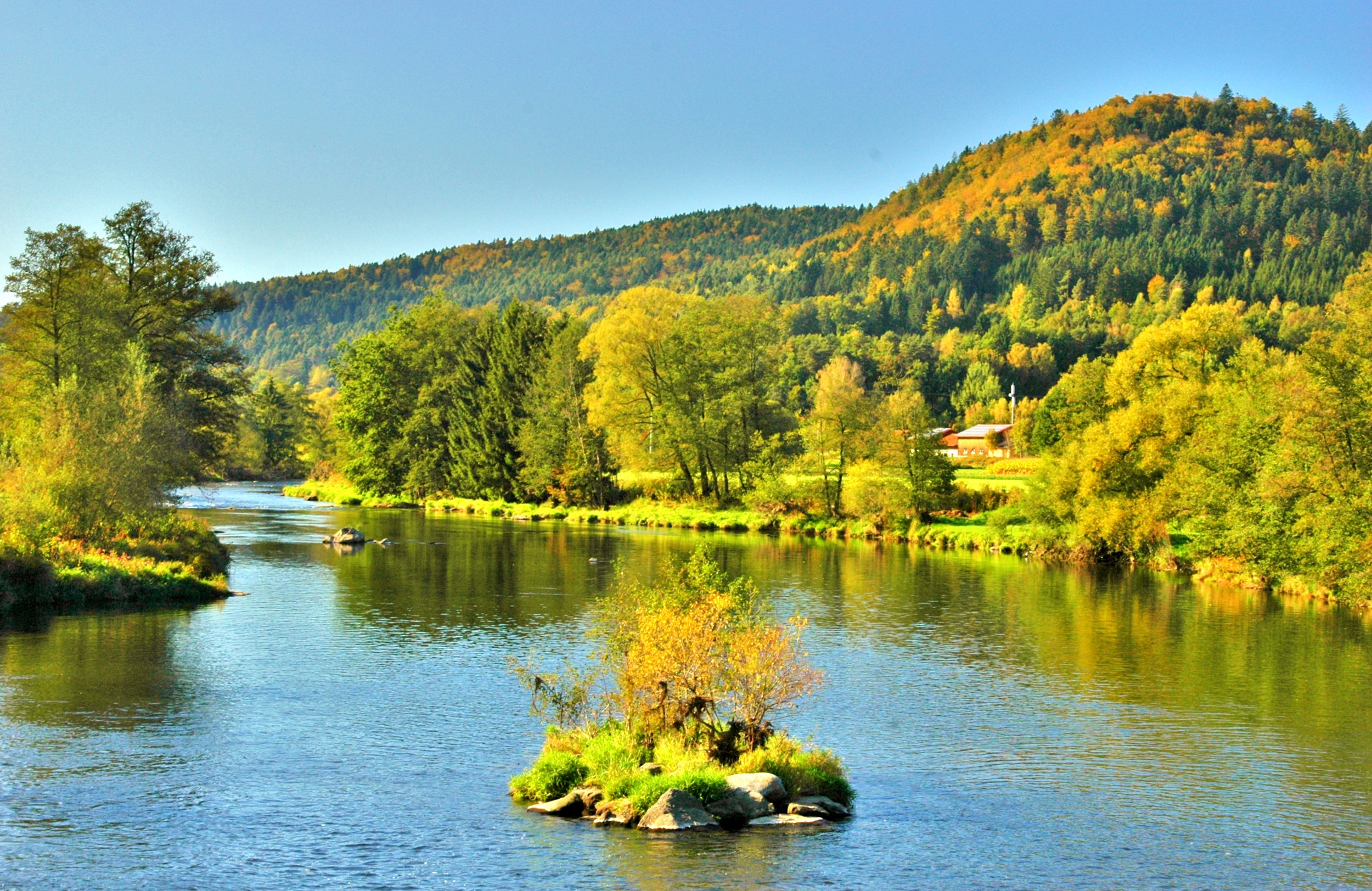 Fluss Regen bei Blaibach
