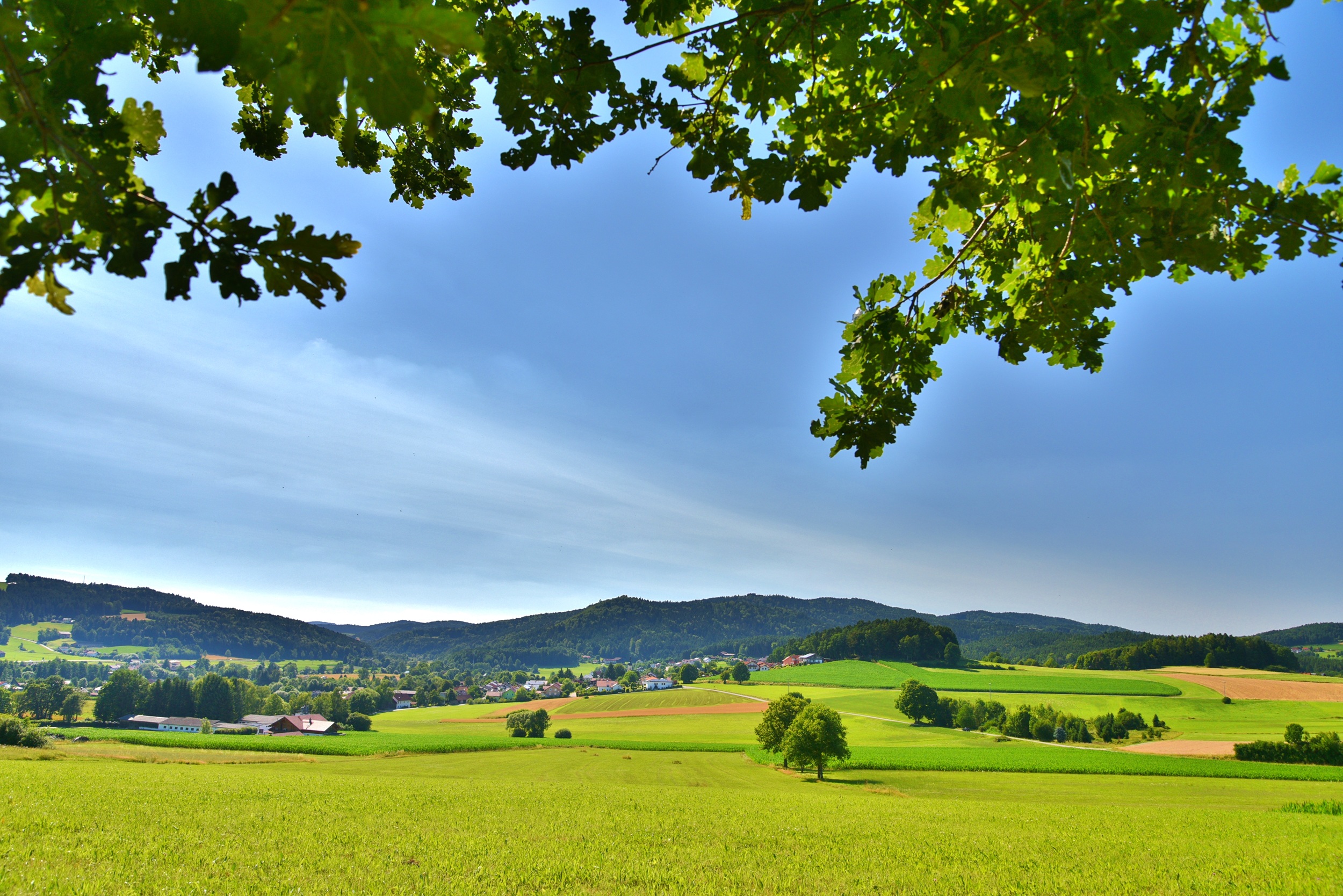 Landschaft bei Blaibach