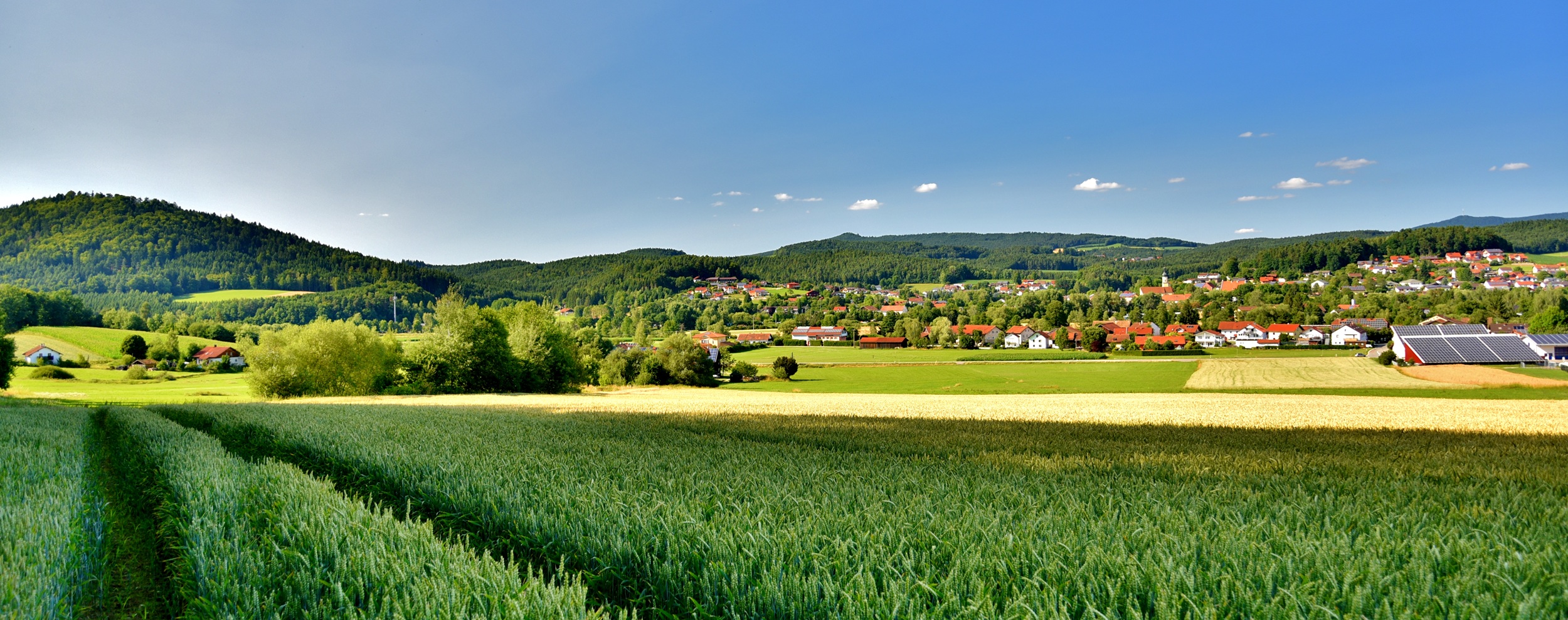 Ortsansicht Blaibach